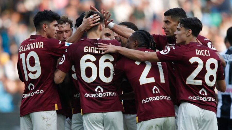 Torino squadra