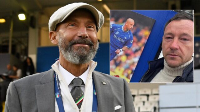 Vialli terry