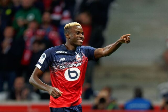 Victor osimhen lille