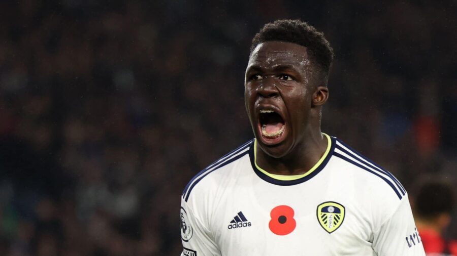 Wilf gnonto leeds