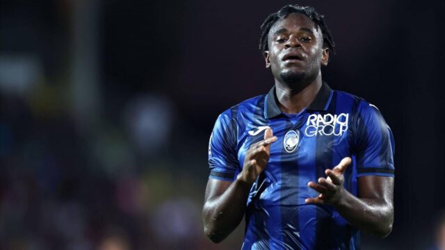 Zapata atalanta