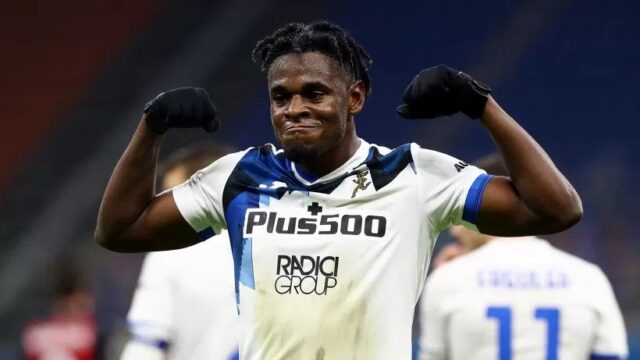 Zapata ibra