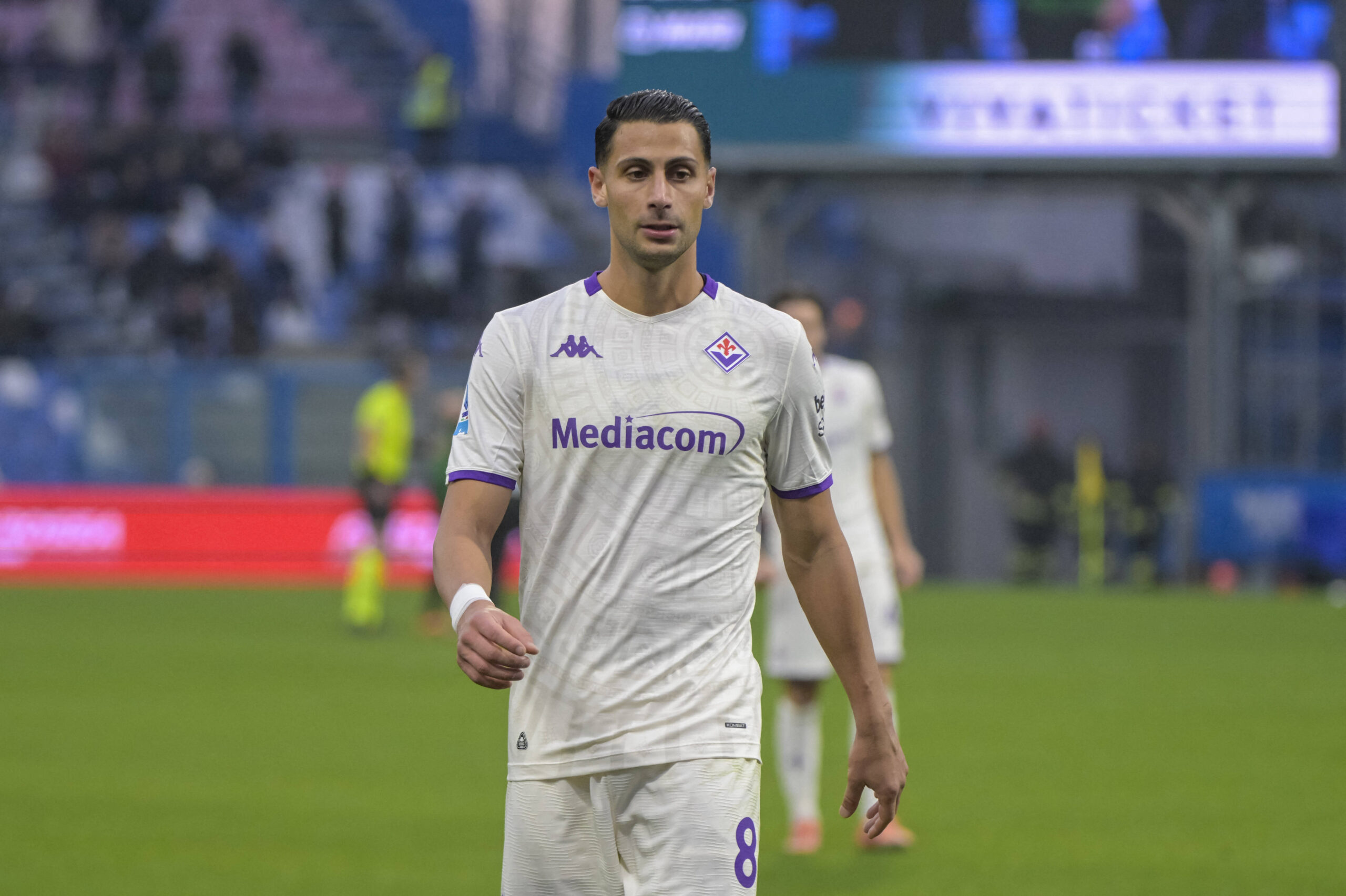 mandragora fiorentina