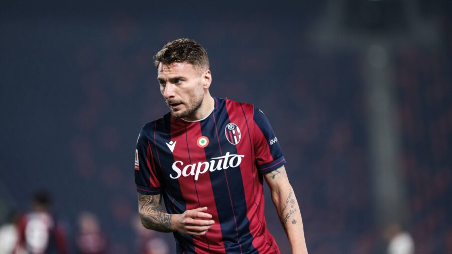 Immobile bolognajpg