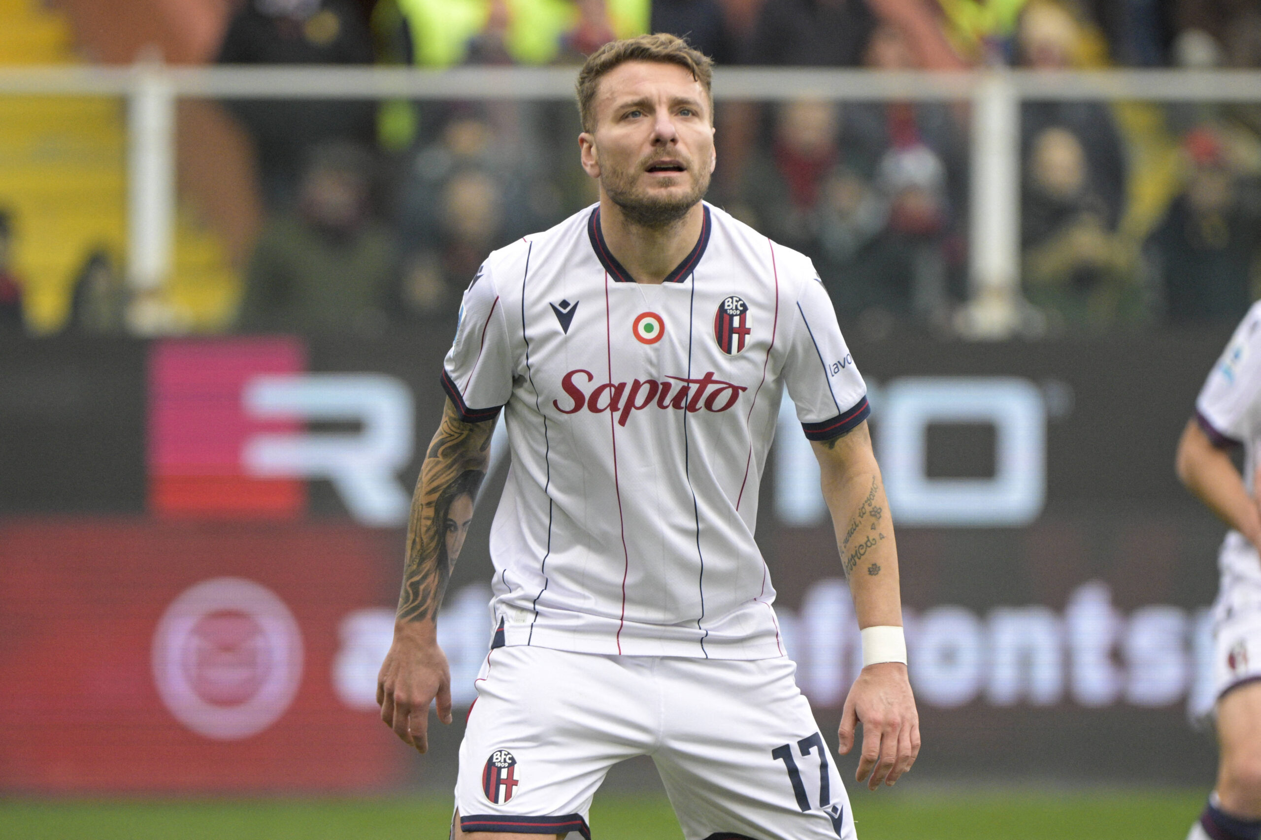 Ciro Immobile, prima stagione al Bologna