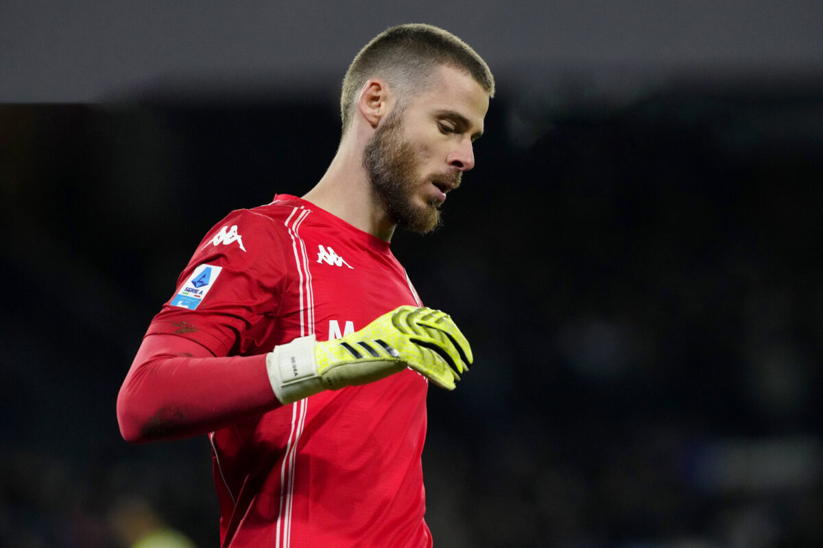 David De Gea, seconda stagione alla Fiorentina