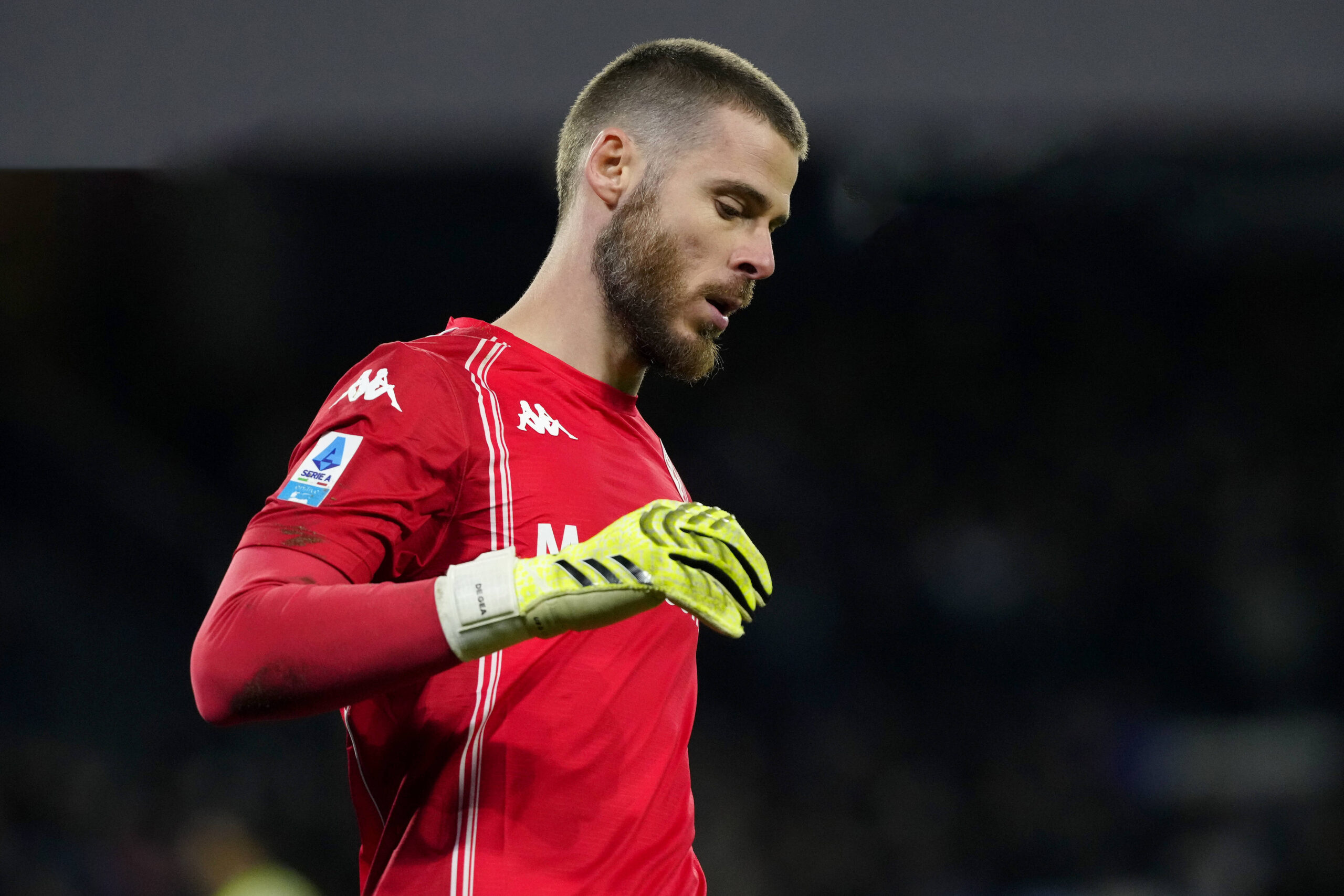 David De Gea, seconda stagione alla Fiorentina