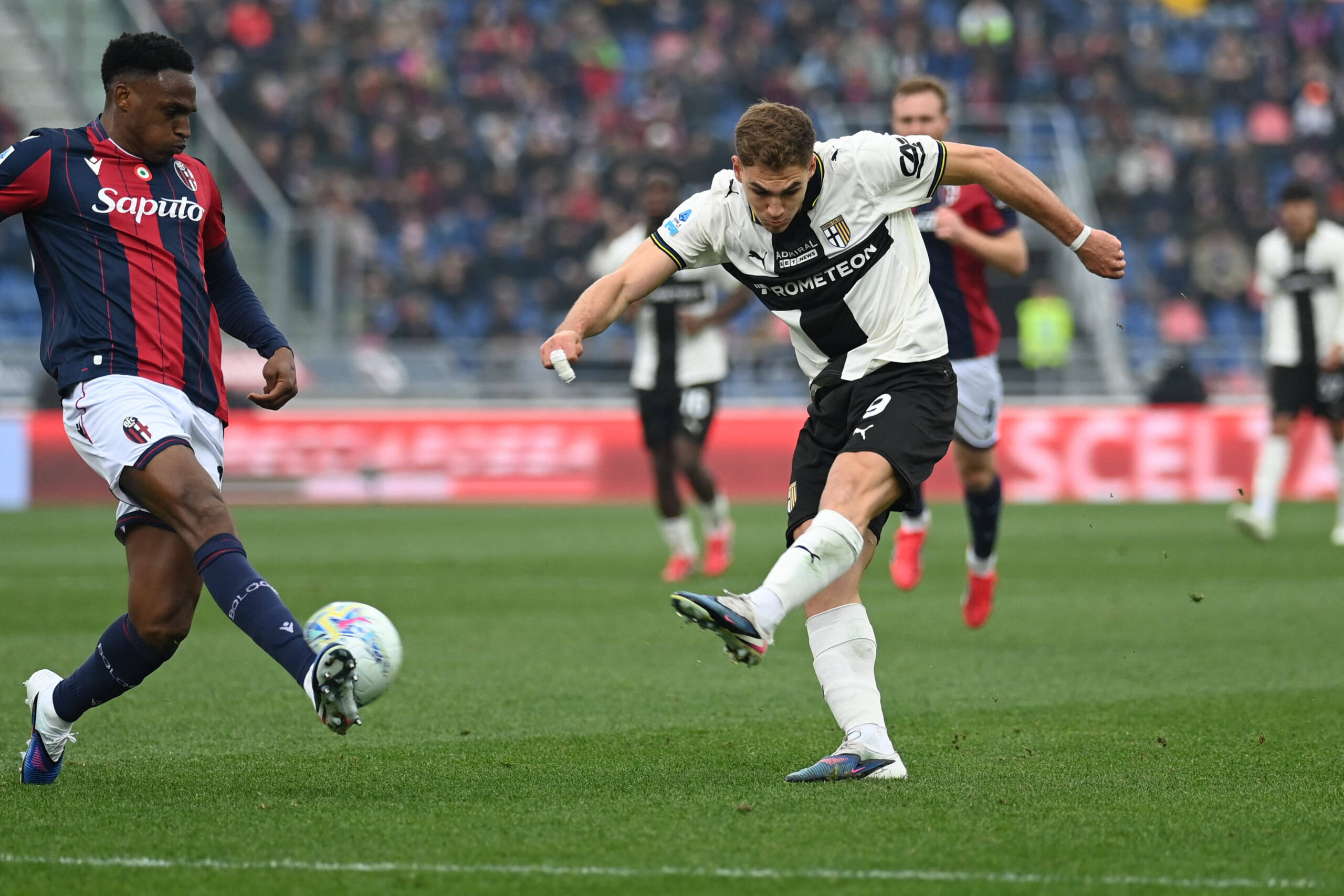 Pellegrino rinnova con il Parma