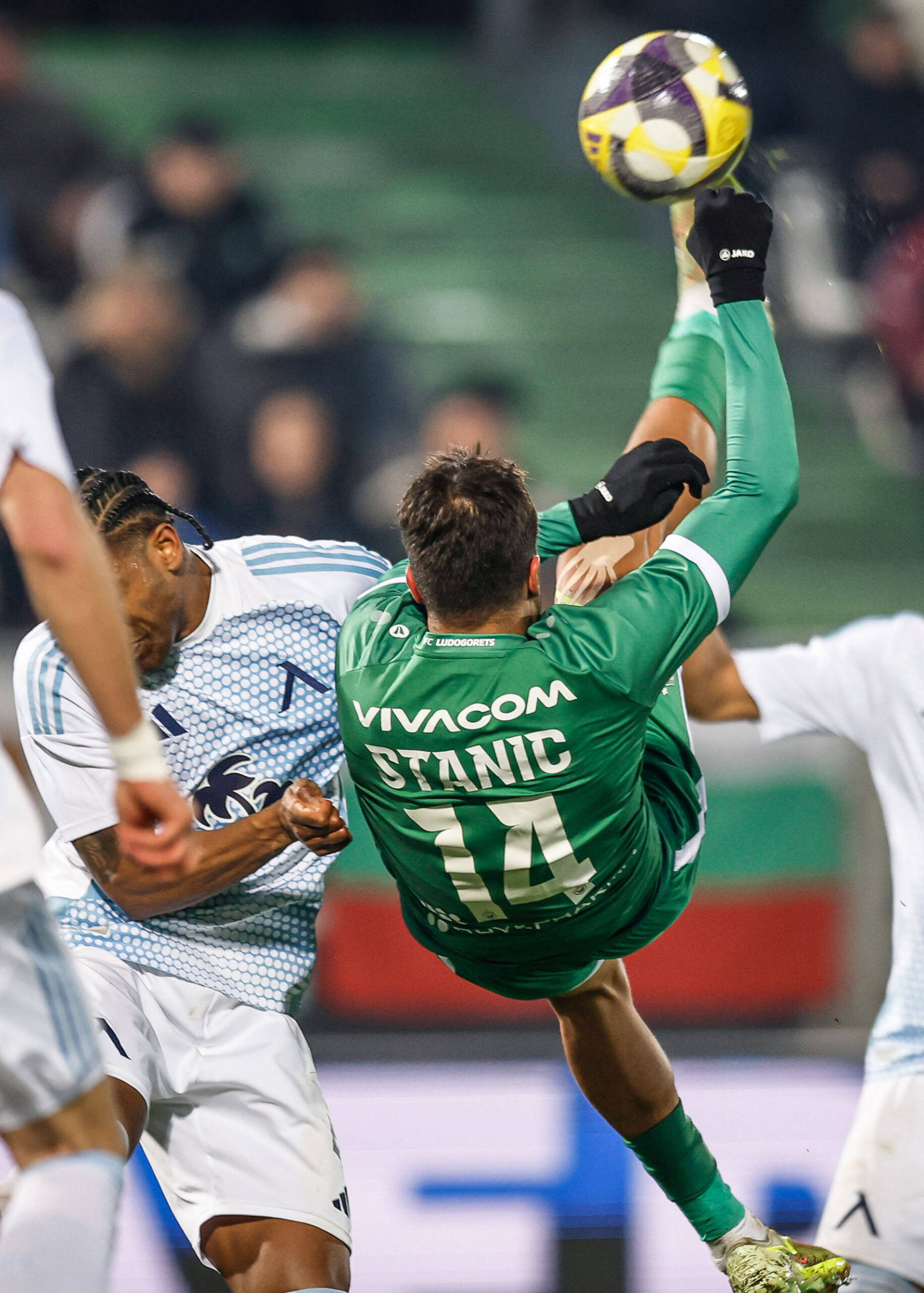 Petar Stanic attaccante