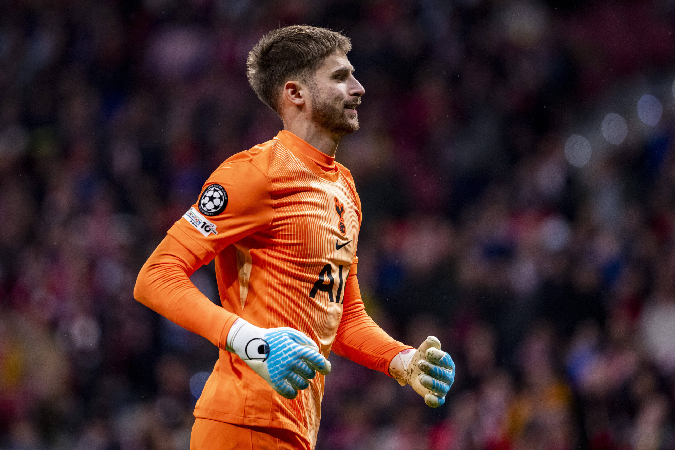 Guglielmo Vicario, terza stagione al Tottenham