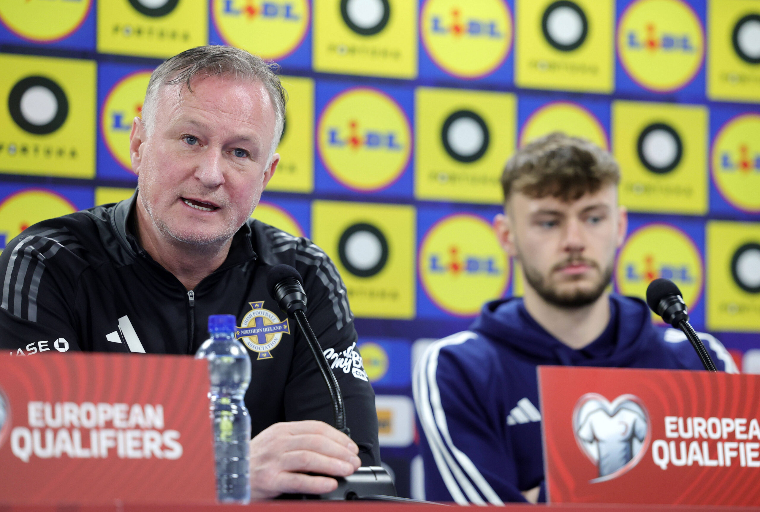 Michael O'Neill, Irlanda del Nord