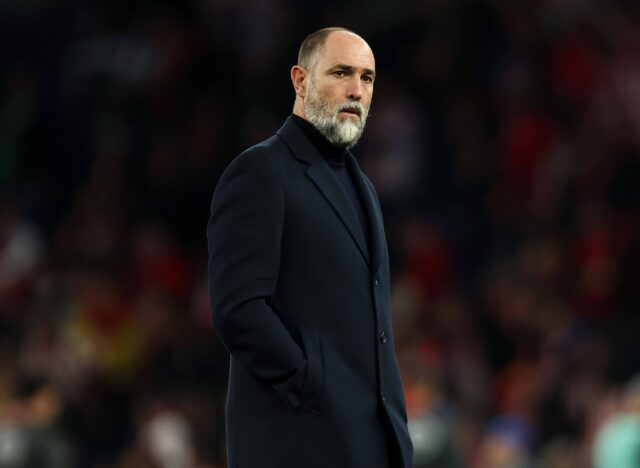 Igor Tudor, ex tecnico del Tottenham