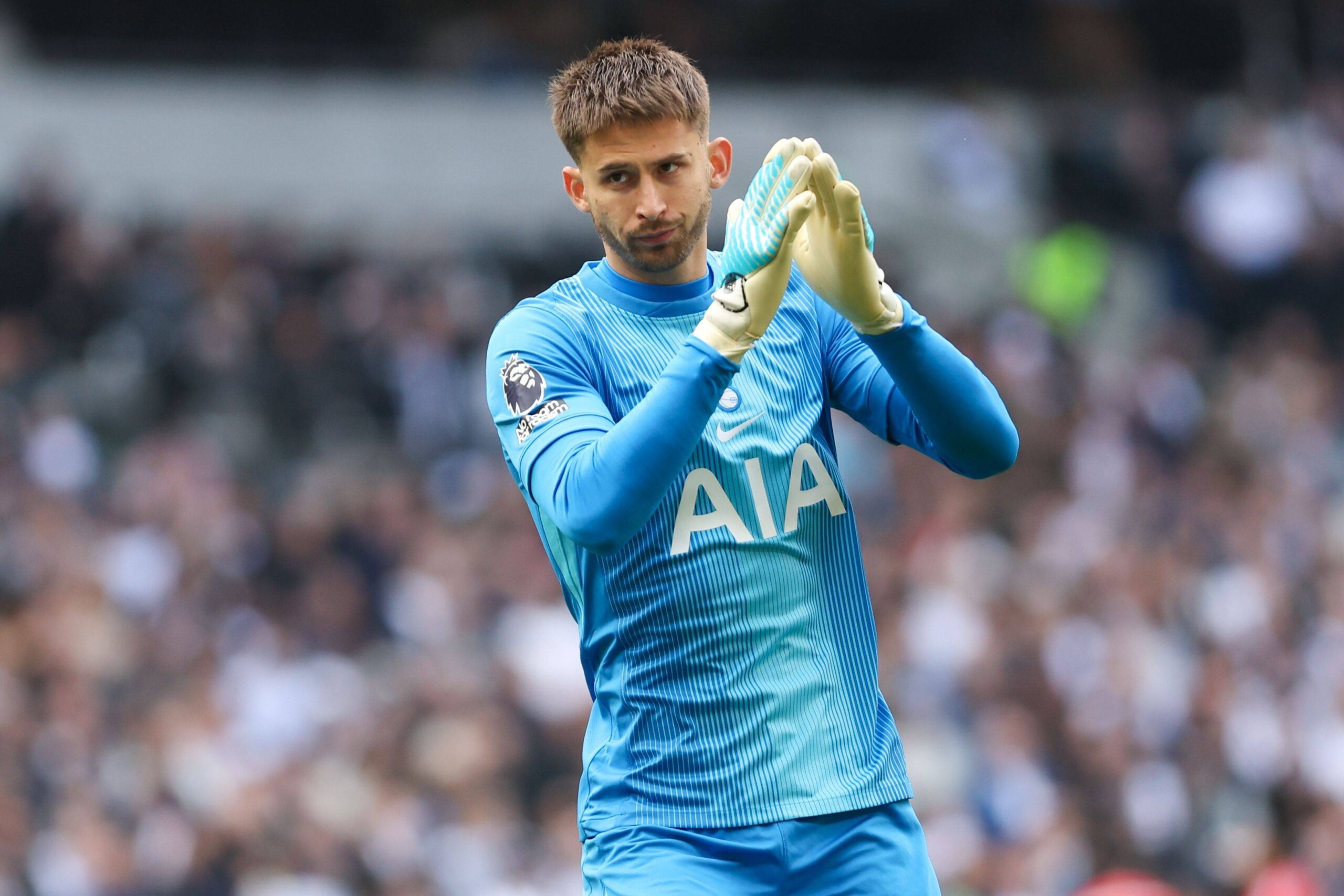 Guglielmo Vicario portiere del Tottenham