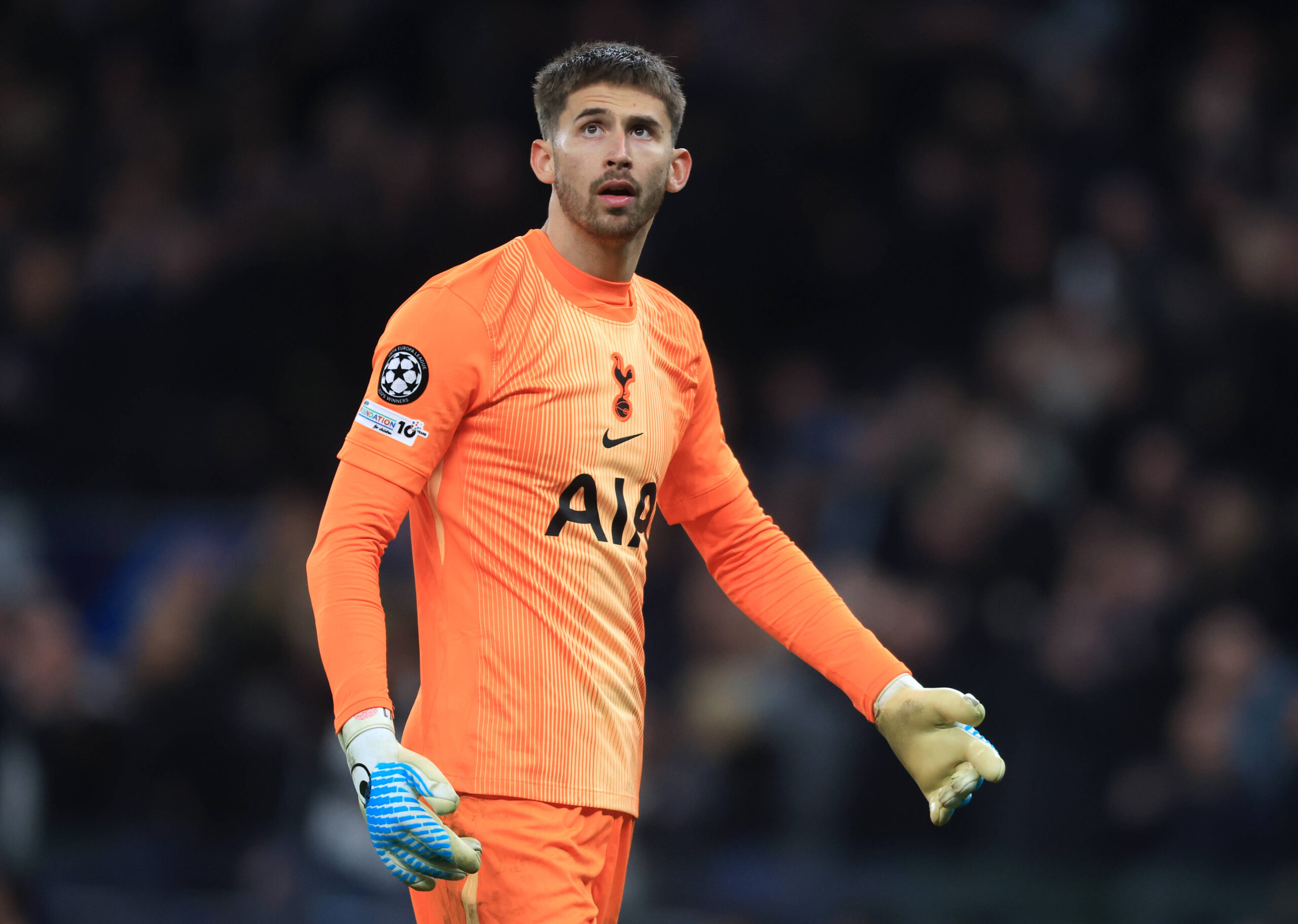 Guglielmo Vicario, portiere del Tottenham