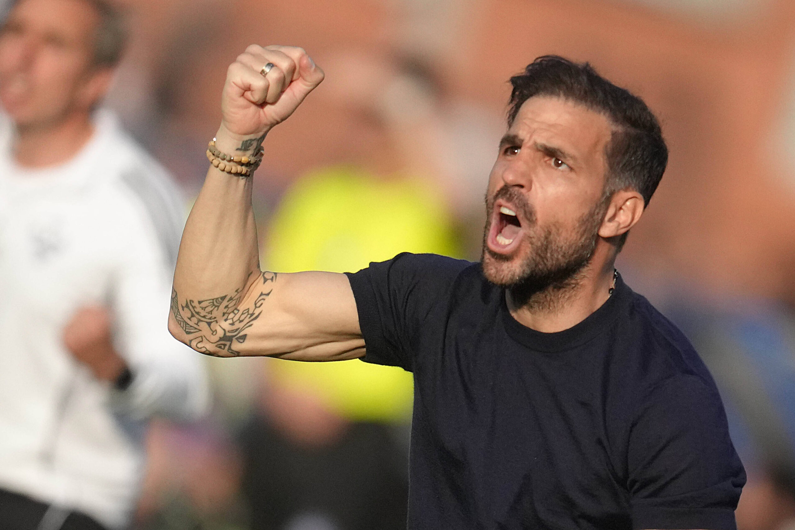 Fabregas esulta per la vittoria del suo Como