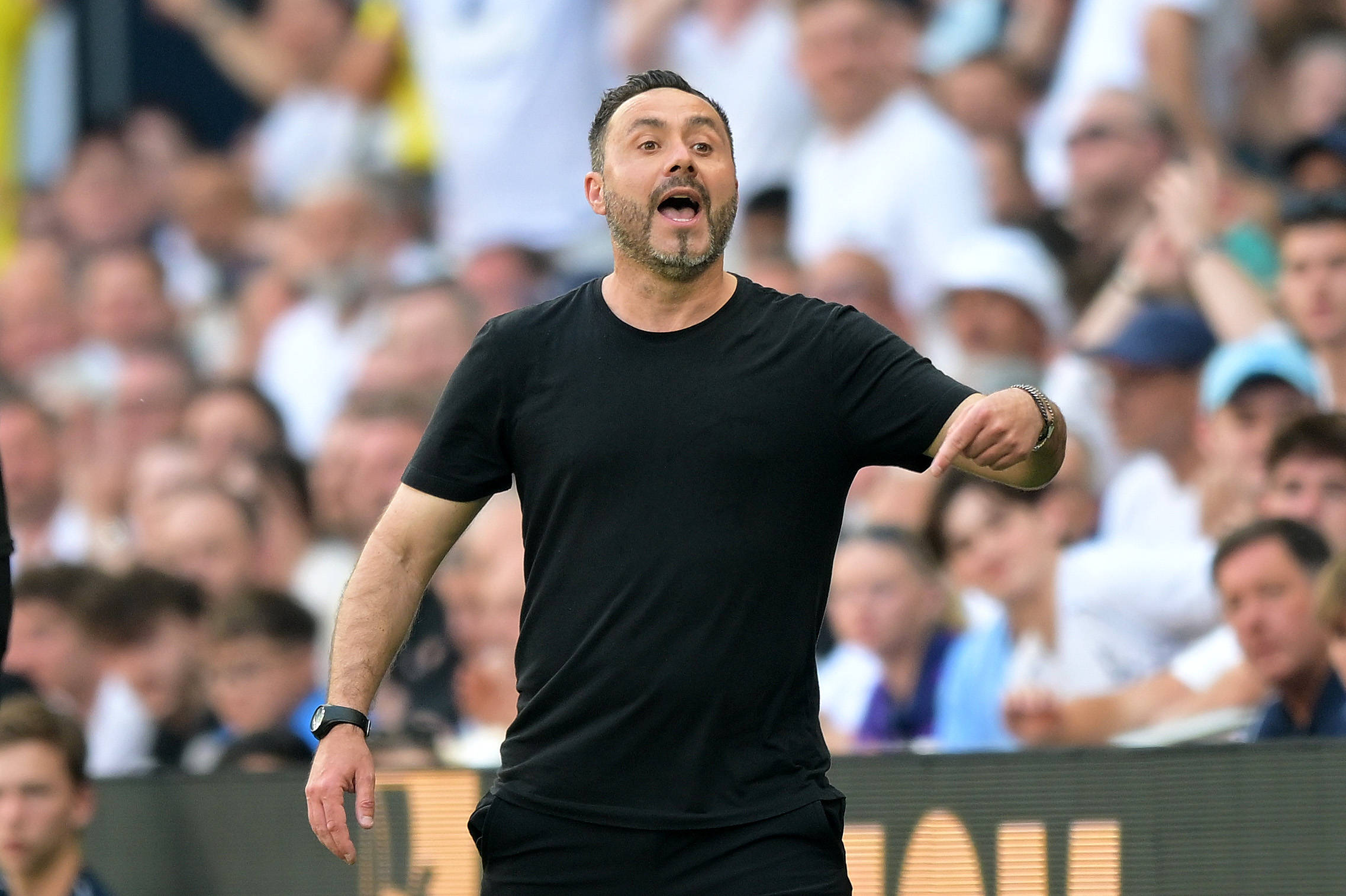 De Zerbi pronto a pescare in casa Juventus